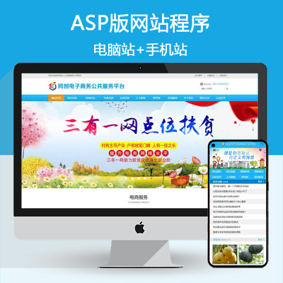 ASP电子商务平台网站制作源码